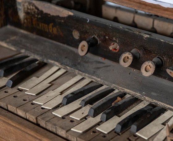 Корпус из красного дерева, клавиши из слоновой кости. Этот уникальный музыкальный инструмент нашли... в свинарнике. Вы можете поверить?