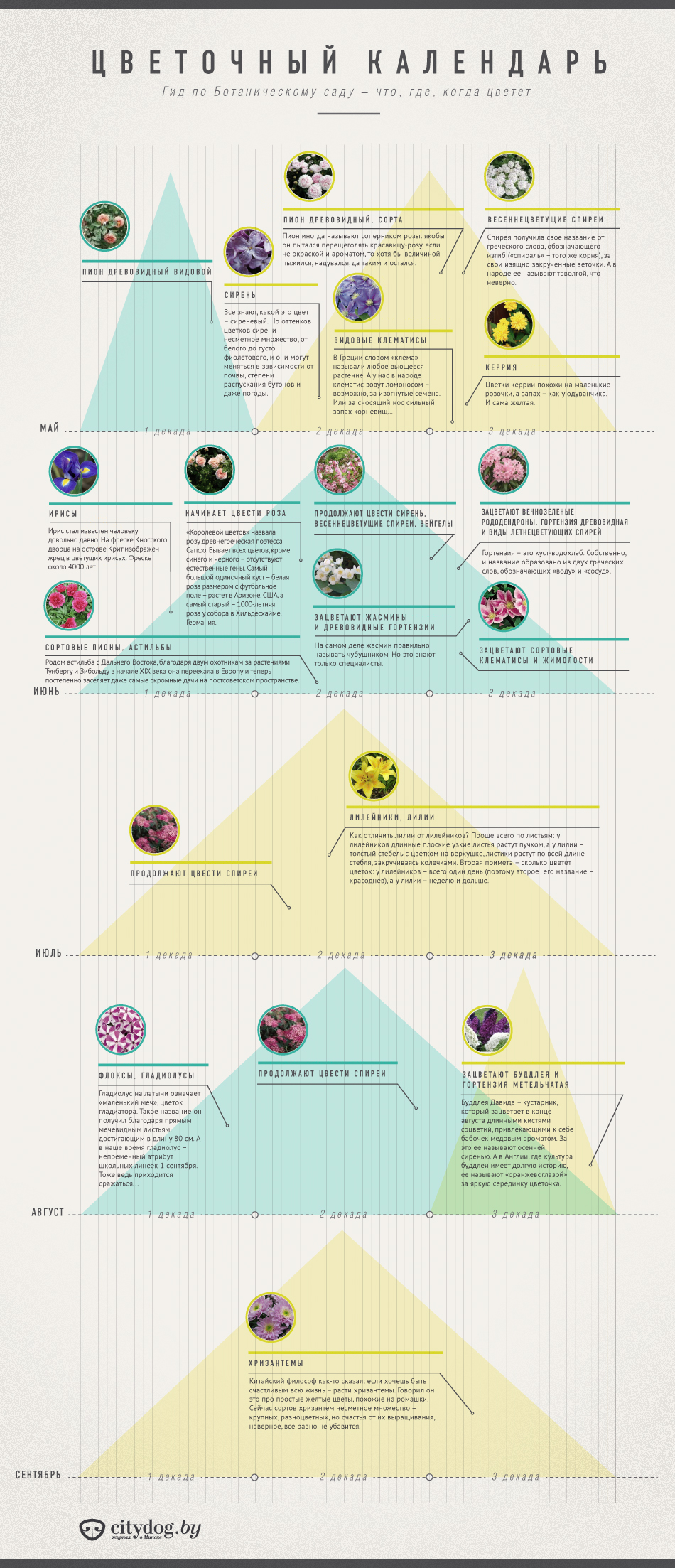 Цветочный календарь - CityDog.io