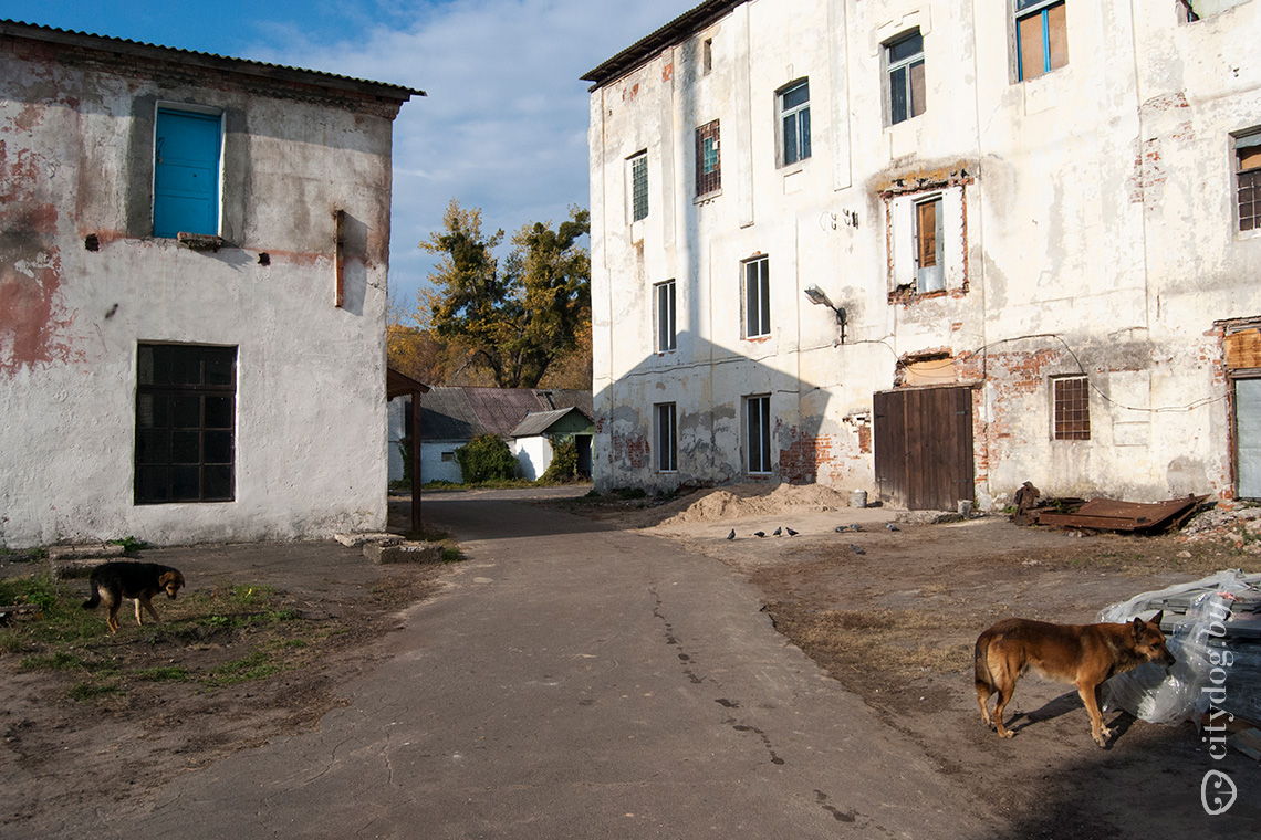 Маршрут по востоку Полесья. Через Долину Ангелов в зону отчуждения -  CityDog.io