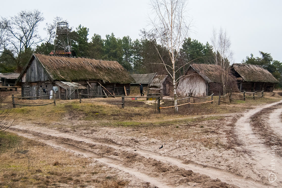 Путешествие на украинское Полесье: общее прошлое, отличное настоящее -  CityDog.io