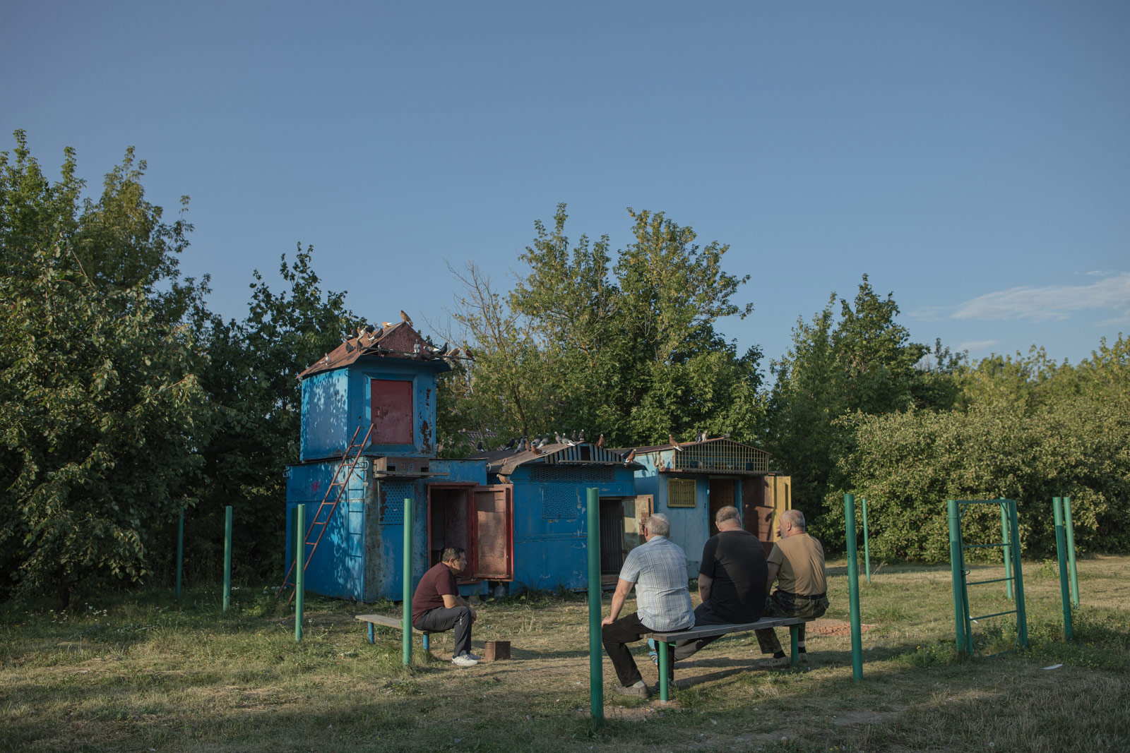 Не лагерь а голубятня фф
